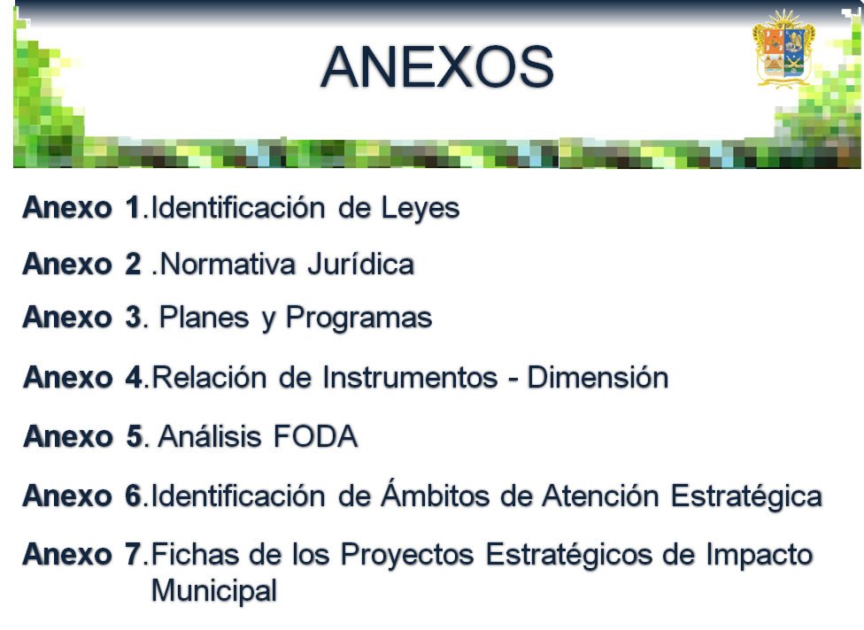 lista anexos